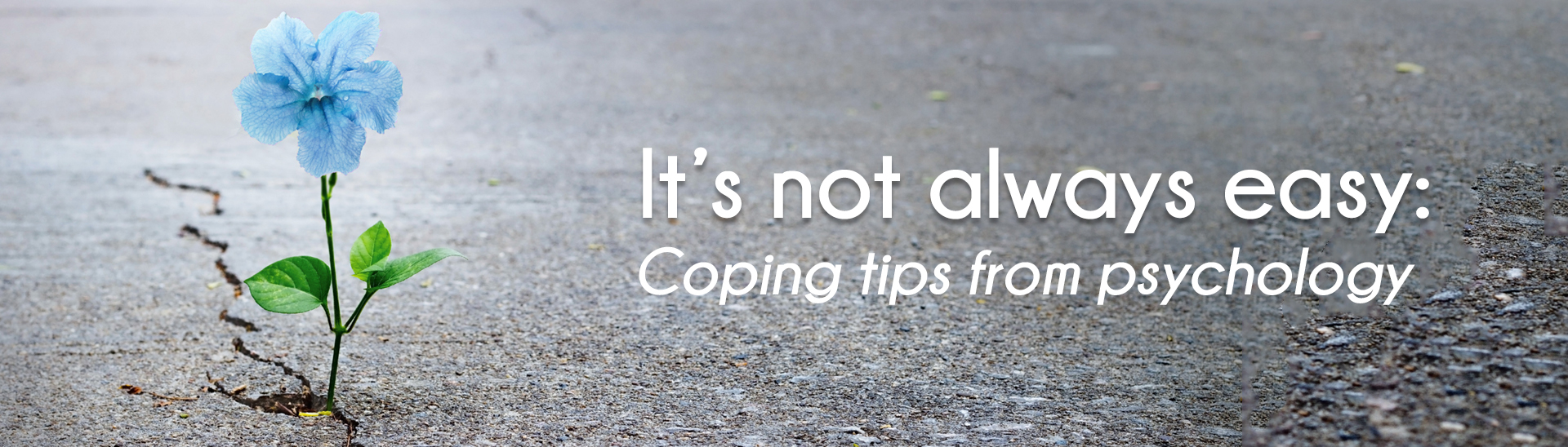 Coping Tips